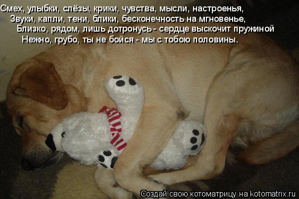 Смех, улыбки, слёзы, крики, чувства, мысли, настроенья, Звуки, капли, тени, блики, бесконечность на м... Котоматрица: Смех, улыбки, слёзы, крики, чувства, мысли, настроенья, Звуки, капли, тени, блики, бесконечность на мгновенье, Близко, рядом, лишь дотронусь - с