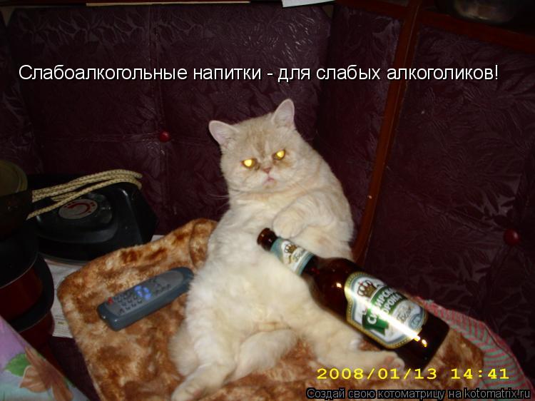 Слабоалкогольные напитки - для слабых алкоголиков!... Котоматрица: Слабоалкогольные напитки - для слабых алкоголиков!