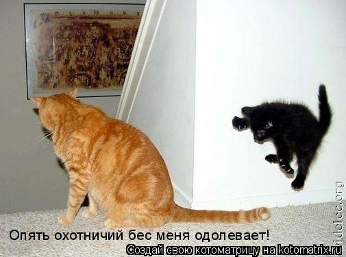 Котоматрица: Опять охотничий бес меня одолевает!