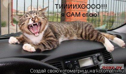 ТИИИИХОООО!!! я САМ спою!... Котоматрица: ТИИИИХОООО!!! я САМ спою!