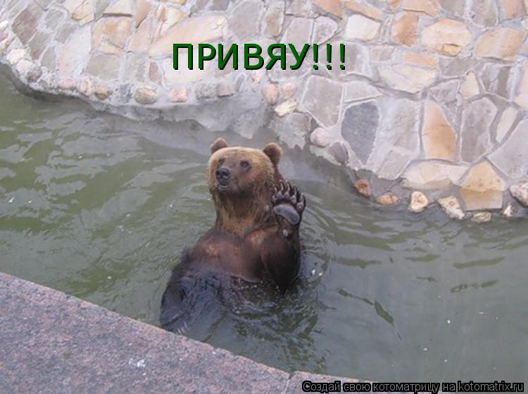 Котоматрица: ПРИВЯУ!!!