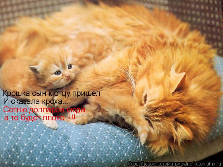Крошка сын к отцу пришел И сказала кроха.... Сотню долларов сюда, а то будет плохо..!!!... Котоматрица: Крошка сын к отцу пришел И сказала кроха.... Сотню долларов сюда, а то будет плохо..!!!