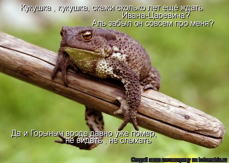 Кукушка , кукушка, скажи сколько лет ещё ждать Ивана-Царевича? Аль забыл он совсем про меня? Да и Гор... Котоматрица: Кукушка , кукушка, скажи сколько лет ещё ждать Ивана-Царевича? Аль забыл он совсем про меня? Да и Горыныч вроде давно уже помер, не видать , не