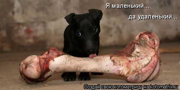 Я маленький... да удаленький...... Котоматрица: Я маленький... да удаленький...