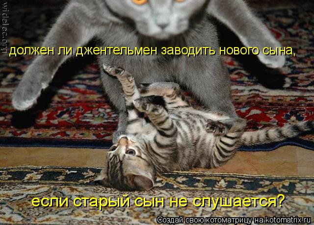 должен ли джентельмен заводить нового сына, если старый сын не слушается?... Котоматрица: должен ли джентельмен заводить нового сына, если старый сын не слушается?