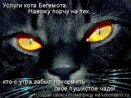 Услуги кота Бегемота: Навожу порчу на тех, кто с утра забыл покормить своё пушистое чадо!... Котоматрица: Услуги кота Бегемота: Навожу порчу на тех, кто с утра забыл покормить своё пушистое чадо!