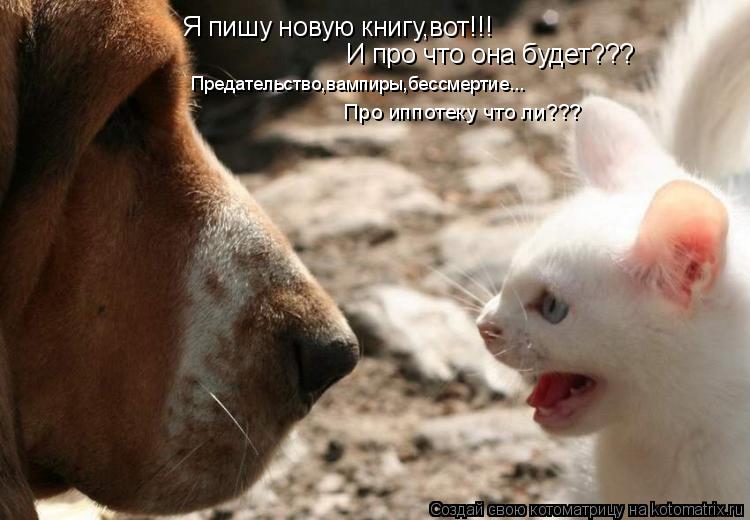 Я пишу новую книгу,вот!!! И про что она будет??? Предательство,вампиры,бессмертие... Про иппотеку что... Котоматрица: Я пишу новую книгу,вот!!! И про что она будет??? Предательство,вампиры,бессмертие... Про иппотеку что ли???