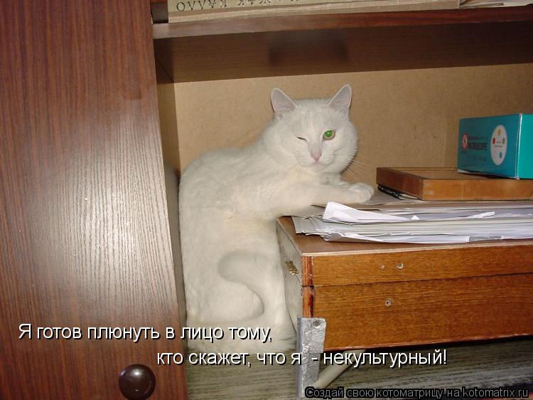 Я готов плюнуть в лицо тому, кто скажет, что я - некультурный!... Котоматрица: Я готов плюнуть в лицо тому, кто скажет, что я - некультурный!