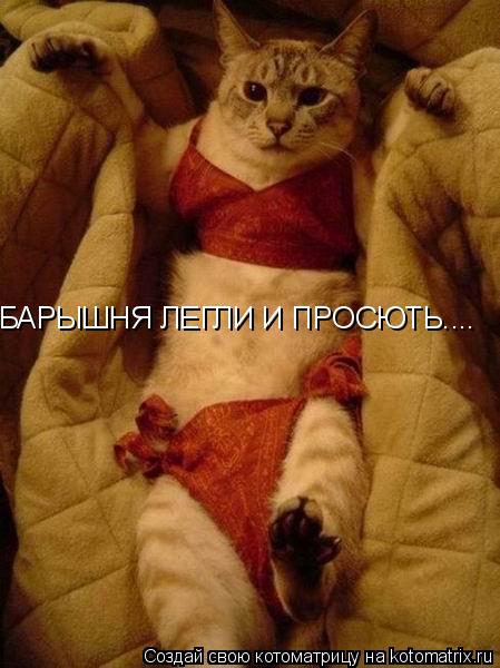 БАРЫШНЯ ЛЕГЛИ И ПРОСЮТЬ....... Котоматрица: БАРЫШНЯ ЛЕГЛИ И ПРОСЮТЬ....