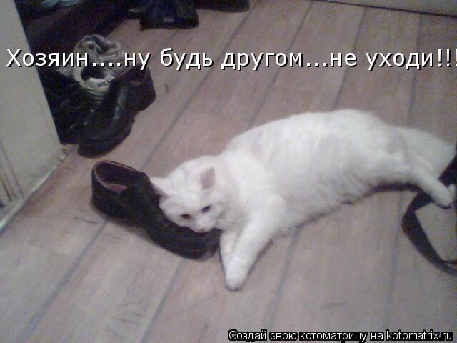 Хозяин....ну будь другом...не уходи!!!... Котоматрица: Хозяин....ну будь другом...не уходи!!!