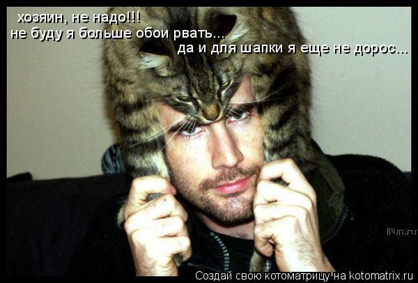 Котоматрица: хозяин, не надо!!! не буду я больше обои рвать...  да и для шапки я еще не дорос...
