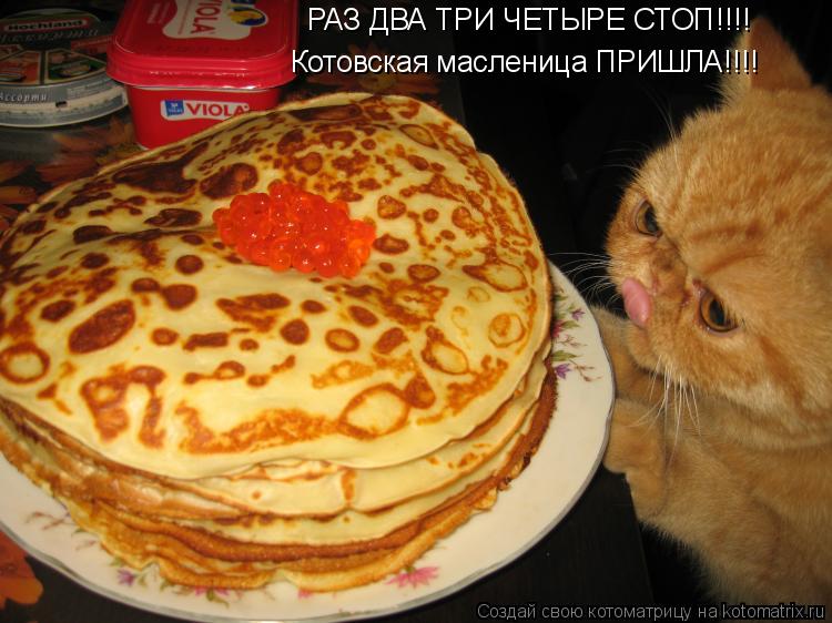 РАЗ ДВА ТРИ ЧЕТЫРЕ СТОП!!!! Котовская масленица ПРИШЛА!!!!... Котоматрица: РАЗ ДВА ТРИ ЧЕТЫРЕ СТОП!!!! Котовская масленица ПРИШЛА!!!!