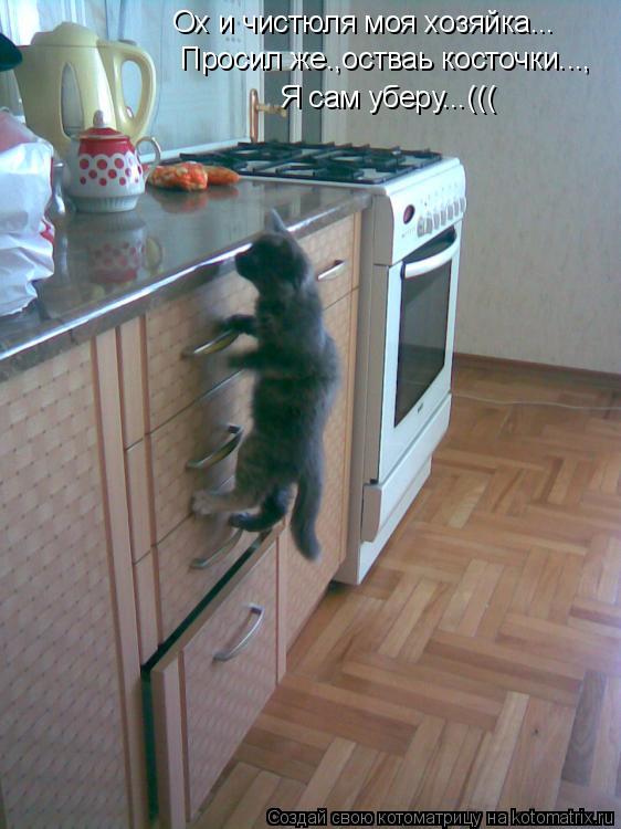 Ох и чистюля моя хозяйка... Просил же.,остваь косточки..., Я сам уберу...(((... Котоматрица: Ох и чистюля моя хозяйка... Просил же.,остваь косточки..., Я сам уберу...(((