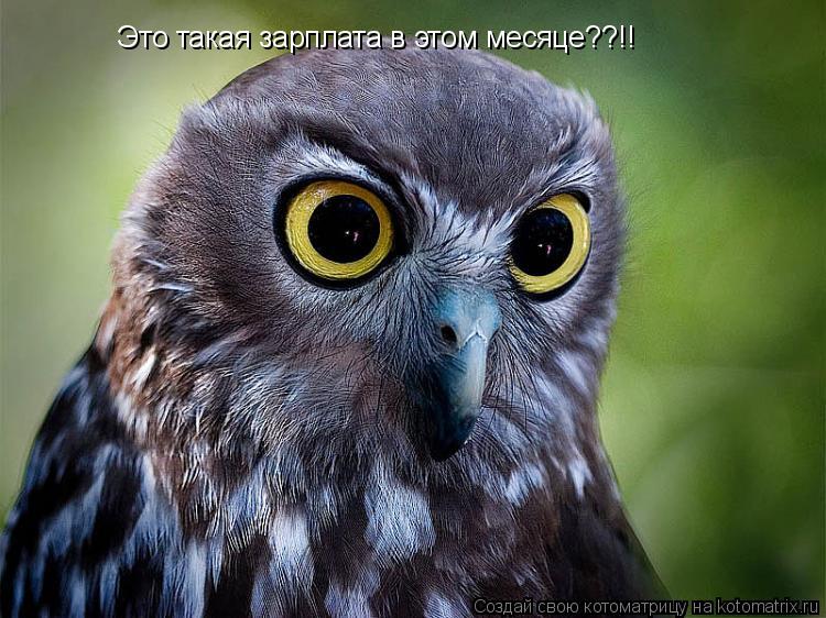 Это такая зарплата в этом месяце??!!... Котоматрица: Это такая зарплата в этом месяце??!!