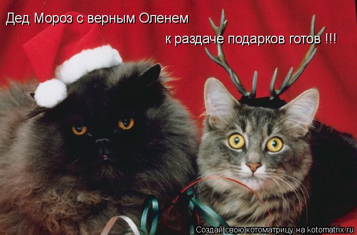 Дед Мороз с верным Оленем к раздаче подарков готов !!!... Котоматрица: Дед Мороз с верным Оленем к раздаче подарков готов !!!