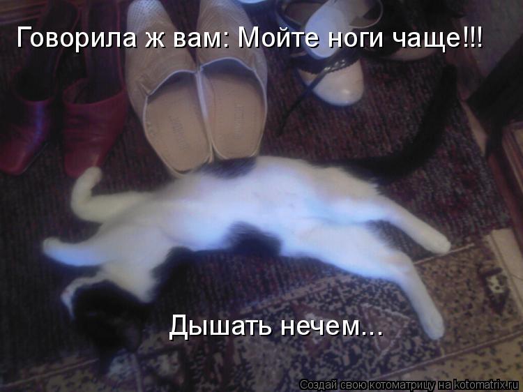 Говорила ж вам: Мойте ноги чаще!!! Дышать нечем...... Котоматрица: Говорила ж вам: Мойте ноги чаще!!! Дышать нечем...