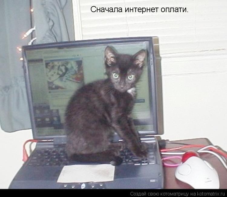 Сначала интернет оплати.... Котоматрица: Сначала интернет оплати.