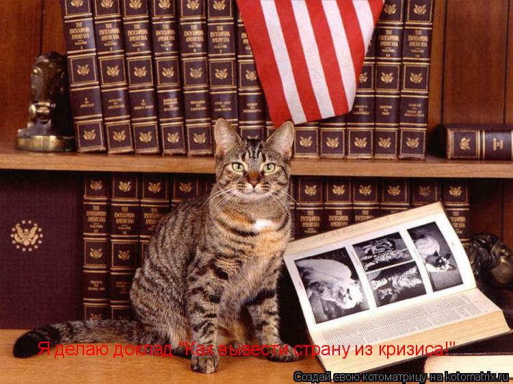 Я делаю доклад "Как вывести страну из кризиса!"... Котоматрица: Я делаю доклад "Как вывести страну из кризиса!"