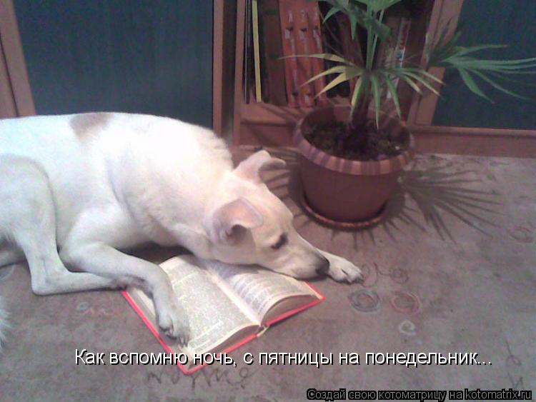 Как вспомню ночь, с пятницы на понедельник...... Котоматрица: Как вспомню ночь, с пятницы на понедельник...