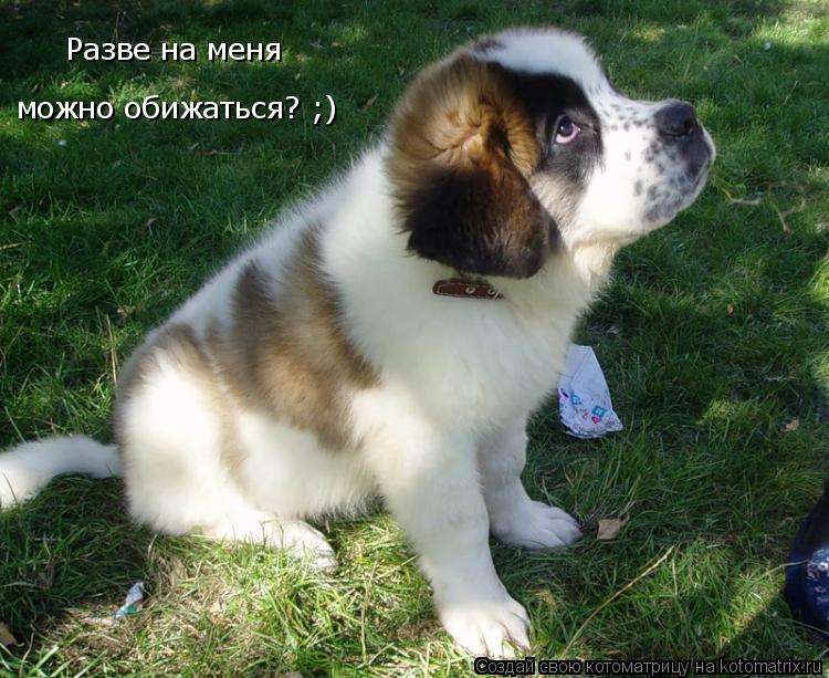 Разве на меня можно обижаться? ;)... Котоматрица: Разве на меня можно обижаться? ;)