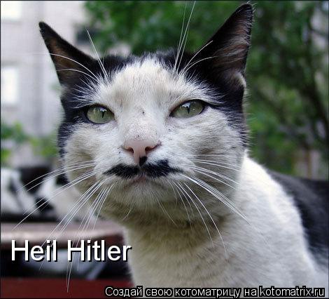 Heil Hitler... Котоматрица: Heil Hitler