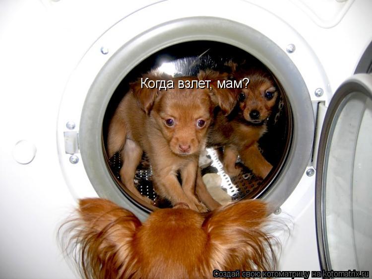 Когда взлет, мам?... Котоматрица: Когда взлет, мам?