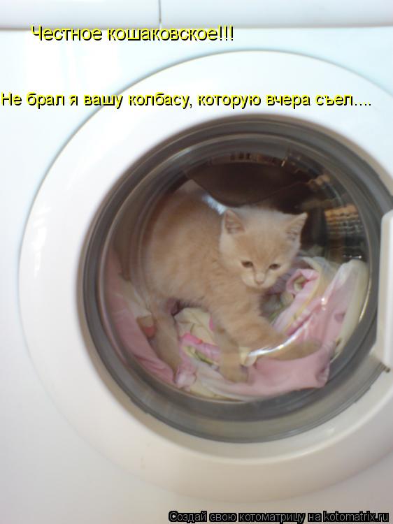 Честное кошаковское!!! Не брал я вашу колбасу, которую вчера съел....... Котоматрица: Честное кошаковское!!! Не брал я вашу колбасу, которую вчера съел....
