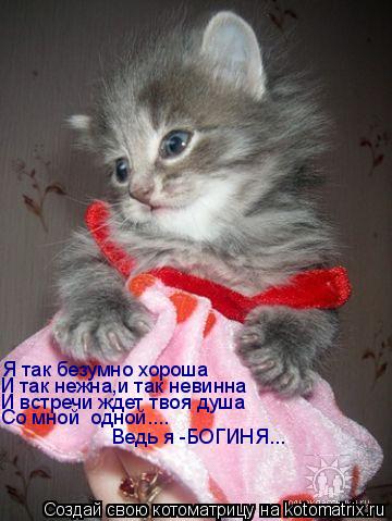 Я так безумно хороша И так нежна,и так невинна И встречи ждет твоя душа Со мной одной.... Ведь я -БО... Котоматрица: Я так безумно хороша И так нежна,и так невинна И встречи ждет твоя душа Со мной одной.... Ведь я -БОГИНЯ...