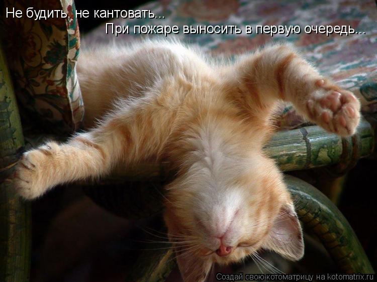 Не будить, не кантовать... При пожаре выносить в первую очередь...... Котоматрица: Не будить, не кантовать... При пожаре выносить в первую очередь...
