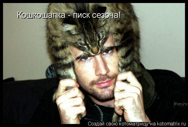 Кошкошапка - писк сезона!... Котоматрица: Кошкошапка - писк сезона!