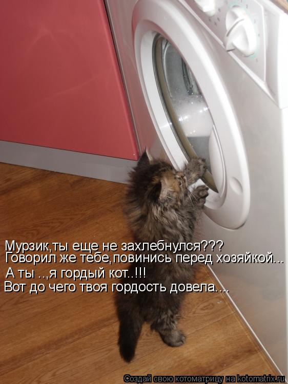 Мурзик,ты еще не захлебнулся??? А ты ..,я гордый кот..!!! Вот до чего твоя гордость довела.... Говор... Котоматрица: Мурзик,ты еще не захлебнулся??? А ты ..,я гордый кот..!!! Вот до чего твоя гордость довела.... Говорил же тебе,повинись перед хозяйкой...