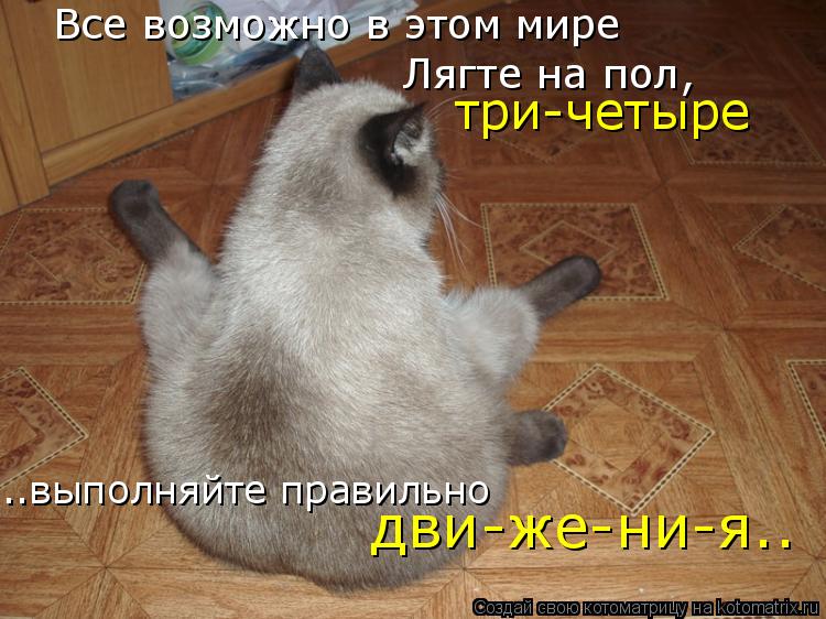Все возможно в этом мире Лягте на пол, три-четыре ..выполняйте правильно дви-же-ни-я..... Котоматрица: Все возможно в этом мире Лягте на пол, три-четыре ..выполняйте правильно дви-же-ни-я..