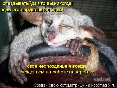 опаздывать?да что вы,никогда! ведь это нарушение,я знаю! свое неопозданье я всегда бездельем на работ... Котоматрица: опаздывать?да что вы,никогда! ведь это нарушение,я знаю! свое неопозданье я всегда бездельем на работе наверстаю