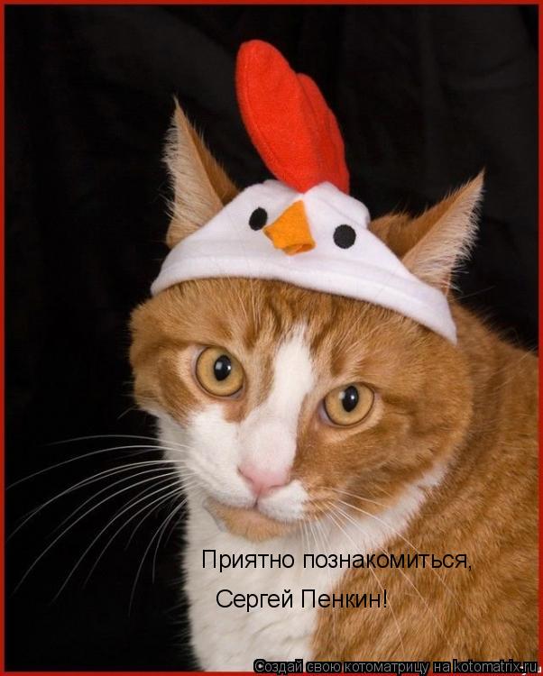 Сергей Пенкин! Приятно познакомиться,... Котоматрица: Сергей Пенкин! Приятно познакомиться,