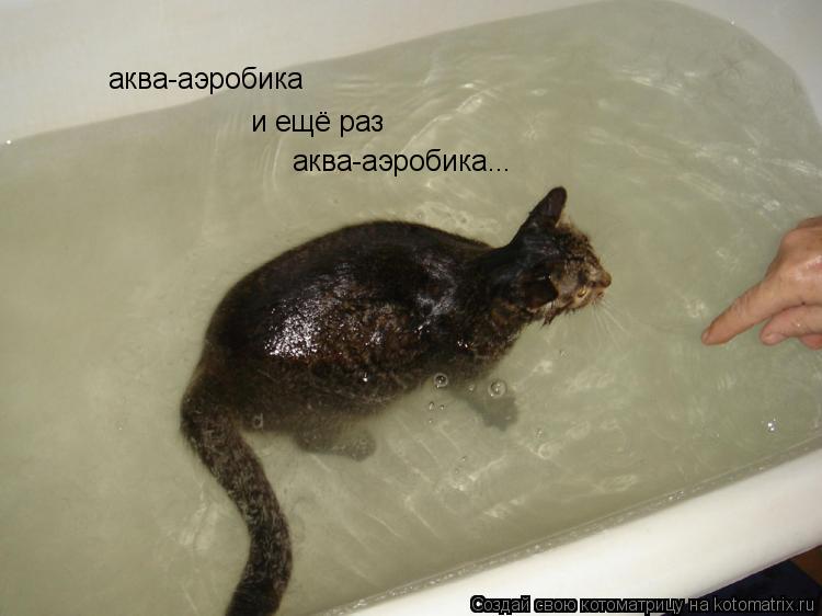 аква-аэробика и ещё раз аква-аэробика...... Котоматрица: аква-аэробика и ещё раз аква-аэробика...