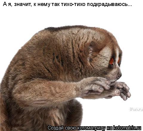 А я, значит, к нему так тихо-тихо подкрадываюсь...... Котоматрица: А я, значит, к нему так тихо-тихо подкрадываюсь...