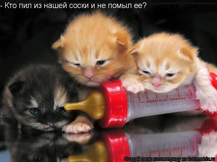 Котоматрица: - Кто пил из нашей соски и не помыл ее?