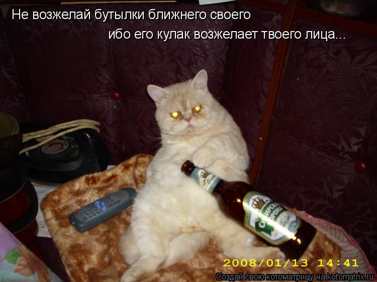 Не возжелай бутылки ближнего своего ибо его кулак возжелает твоего лица...... Котоматрица: Не возжелай бутылки ближнего своего ибо его кулак возжелает твоего лица...