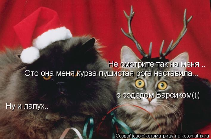 Ну и лапух... Не смотрите так на меня... Это она меня курва пушистая рога наставила... с содедом Барс... Котоматрица: Ну и лапух... Не смотрите так на меня... Это она меня курва пушистая рога наставила... с содедом Барсиком(((