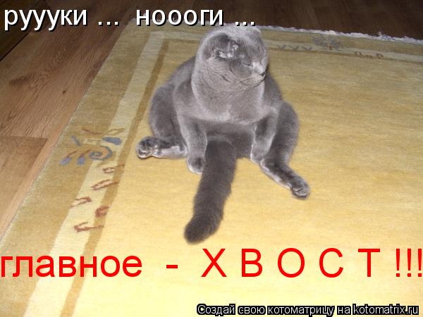 руууки ... ноооги ... главное - Х В О С Т !!!... Котоматрица: руууки ... ноооги ... главное - Х В О С Т !!!