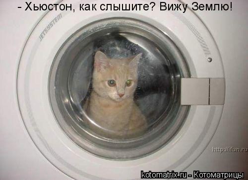 - Хьюстон, как слышите? Вижу Землю!... Котоматрица: - Хьюстон, как слышите? Вижу Землю!