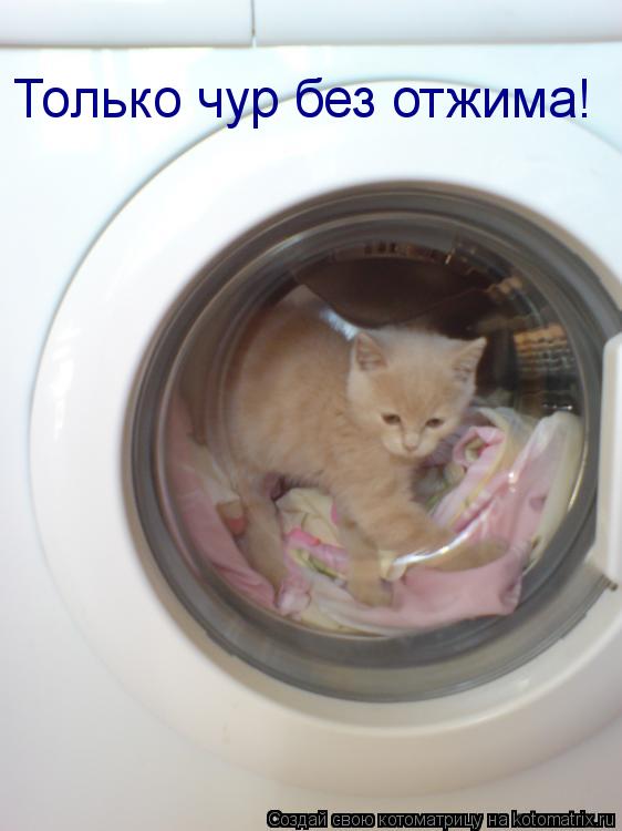 Только чур без отжима!... Котоматрица: Только чур без отжима!