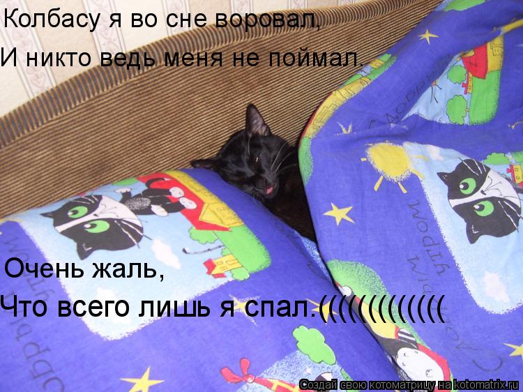 Колбасу я во сне воровал, И никто ведь меня не поймал. Очень жаль, Что всего лишь я спал.((((((((((((... Котоматрица: Колбасу я во сне воровал, И никто ведь меня не поймал. Очень жаль, Что всего лишь я спал.(((((((((((((