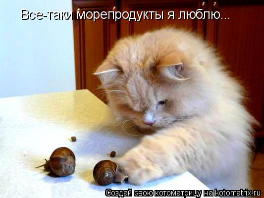 Все-таки морепродукты я люблю...... Котоматрица: Все-таки морепродукты я люблю...