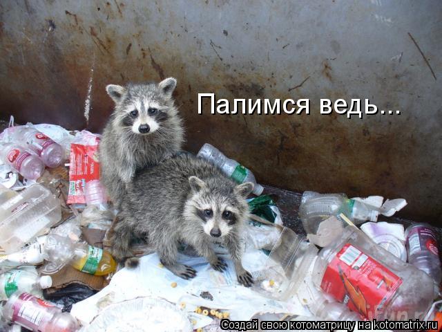 Котоматрица: Палимся ведь...