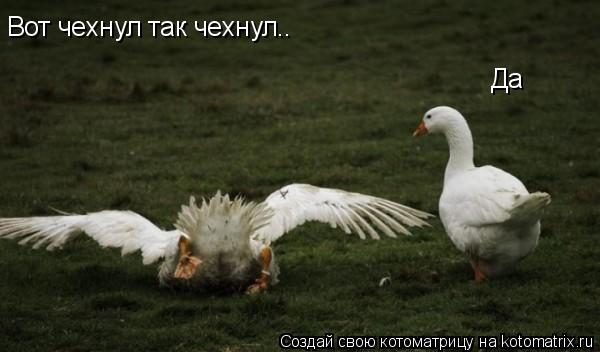 Вот чехнул так чехнул.. Да... Котоматрица: Вот чехнул так чехнул.. Да