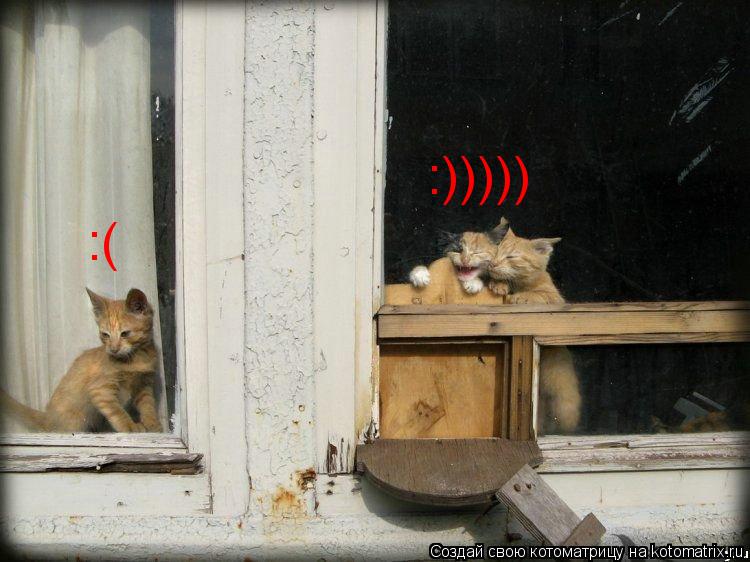 Котоматрица: :( :)))))