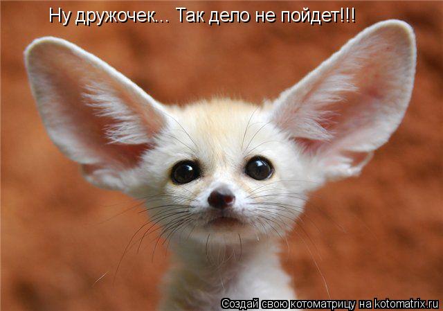 Ну дружочек... Так дело не пойдет!!!... Котоматрица: Ну дружочек... Так дело не пойдет!!!