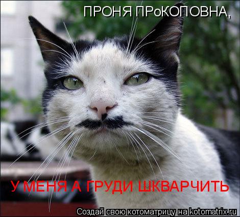 ПРОНЯ ПРоКОПОВНА, У МЕНЯ А ГРУДИ ШКВАРЧИТЬ... Котоматрица: ПРОНЯ ПРоКОПОВНА, У МЕНЯ А ГРУДИ ШКВАРЧИТЬ