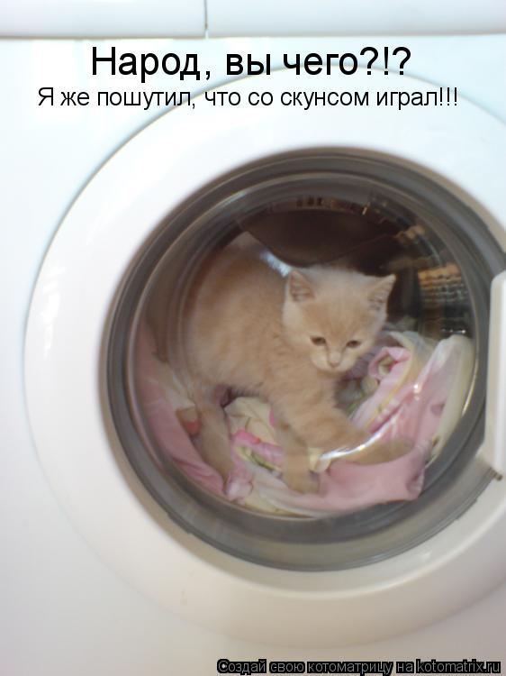 Народ, вы чего?!? Я же пошутил, что со скунсом играл!!!... Котоматрица: Народ, вы чего?!? Я же пошутил, что со скунсом играл!!!